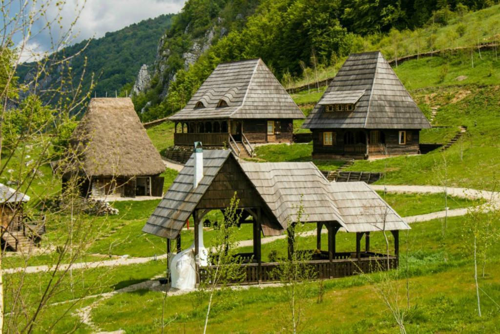 Отель Raven'S Nest Salciua de Jos Экстерьер фото